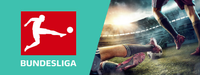 Bundesliigan logo